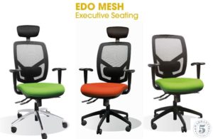 Ergonomic Seating